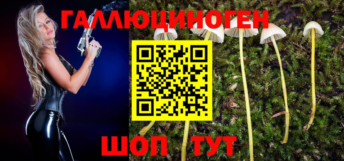 Галлюциногенные грибы GOLDEN TEACHER  Вход с VPN  Железноводск 