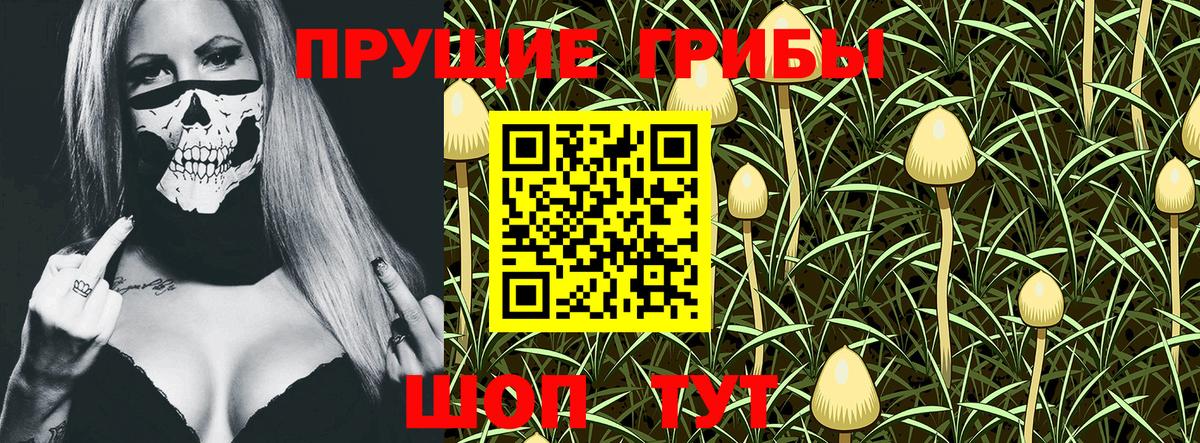Галлюциногенные грибы GOLDEN TEACHER Железноводск